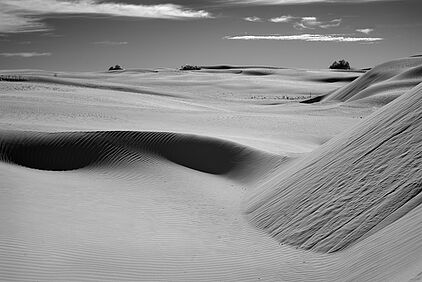 Dunes #1406