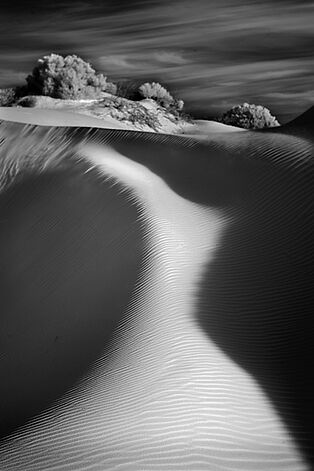 Dunes #1450